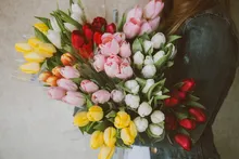 Martin Fleurs