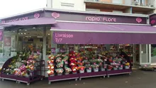 Rapid' Flore
